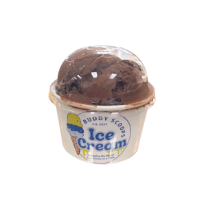 Homemade Ice Cream