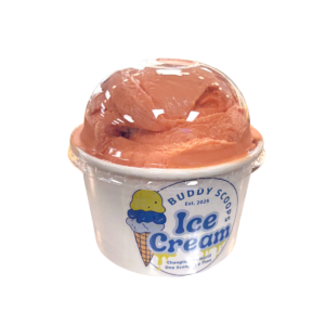 Sorbet